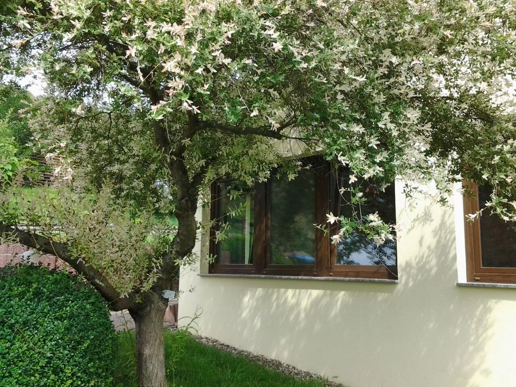 Ferienhaus Waldblick Sangerhausen Ngoại thất bức ảnh