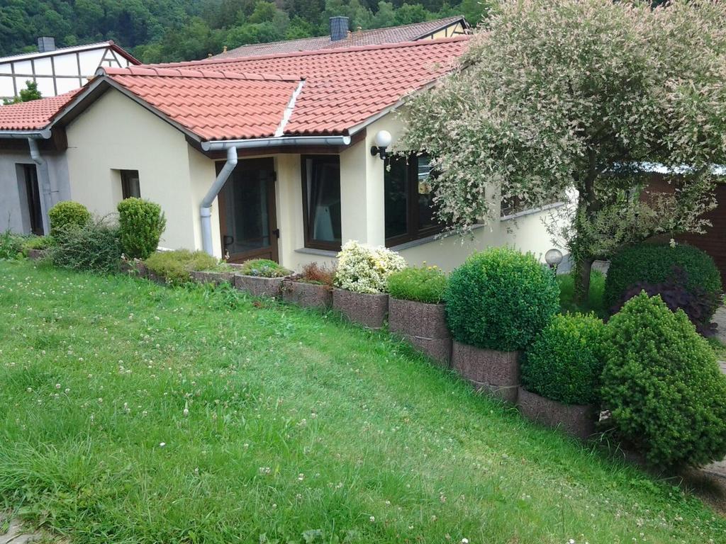 Ferienhaus Waldblick Sangerhausen Ngoại thất bức ảnh